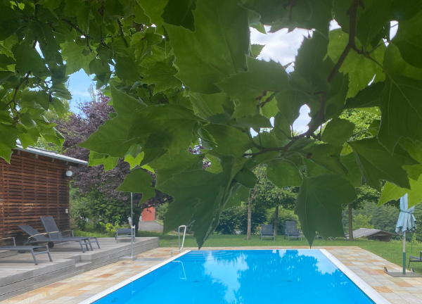Pool im Garten