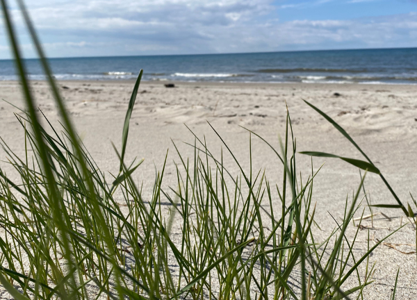 Unser schöner Ostsee Strand zu Hause